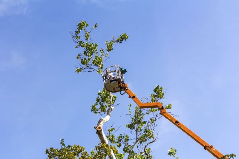 Tree Trimming