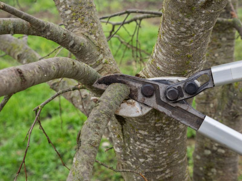 Precise Pruning